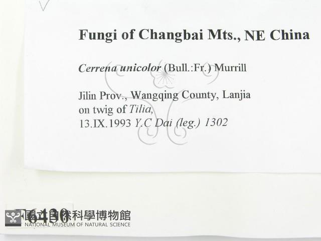 登錄號:F0006430藏品圖，第2張