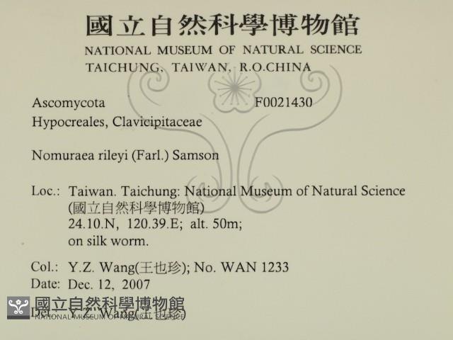 登錄號:F0021430藏品圖，第2張
