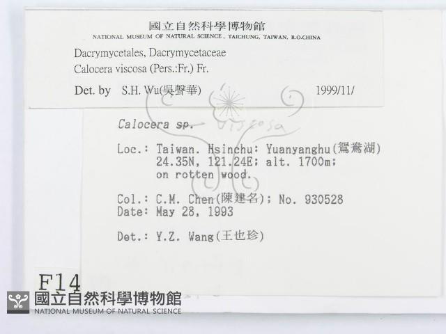 登錄號:F0001430藏品圖，第2張
