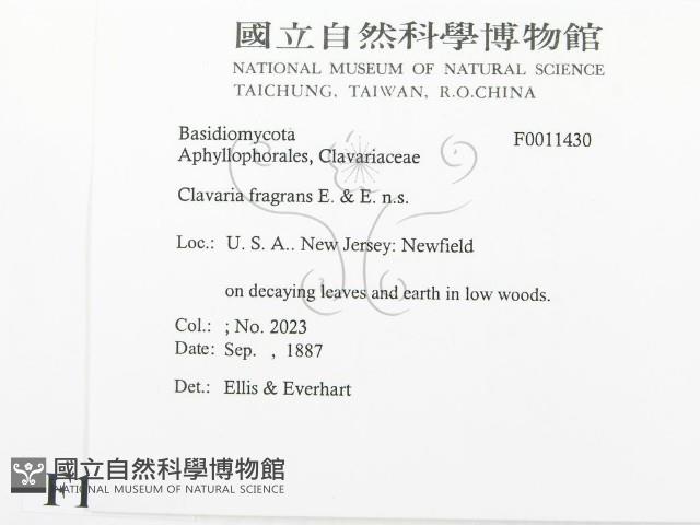 登錄號:F0011430藏品圖，第2張