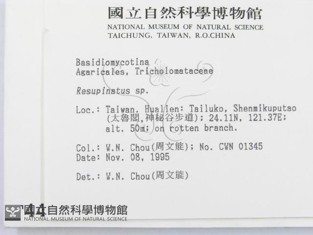 登錄號:F0004430藏品圖，第2張