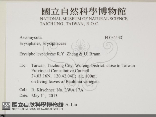 登錄號:F0034430藏品圖，第2張