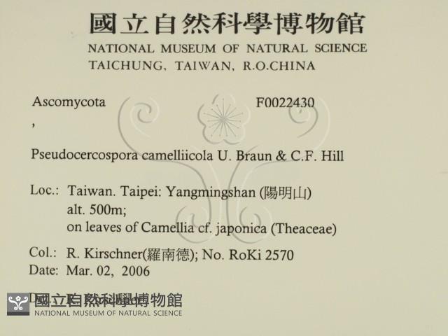 登錄號:F0022430藏品圖，第2張