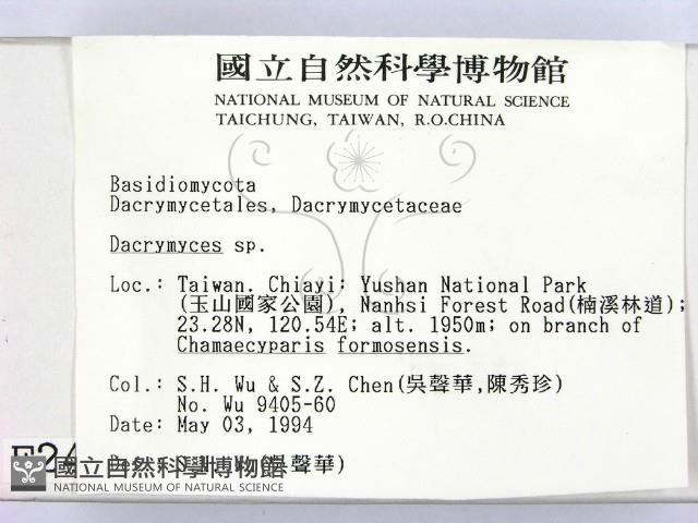 花耳屬藏品圖，第2張