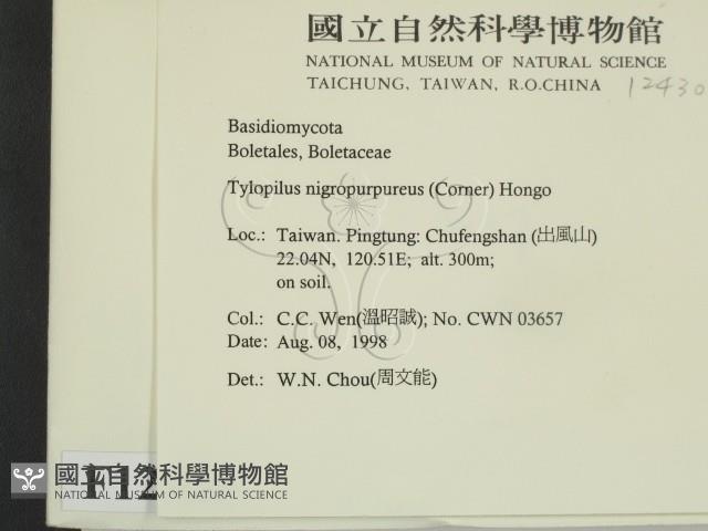 登錄號:F0012430藏品圖，第2張