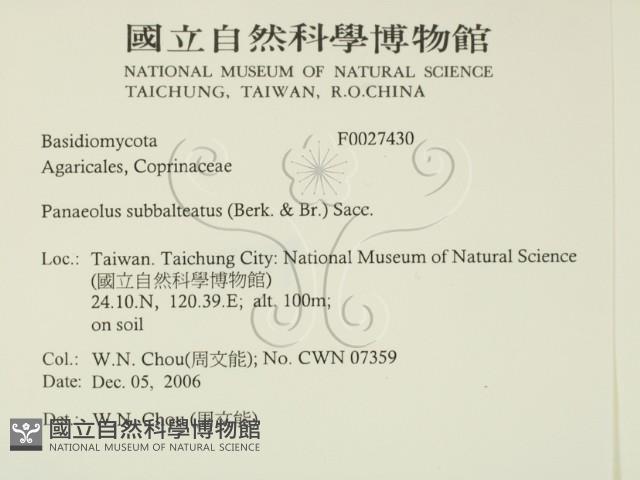 登錄號:F0027430藏品圖，第2張