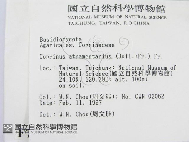 登錄號:F0007430藏品圖，第2張