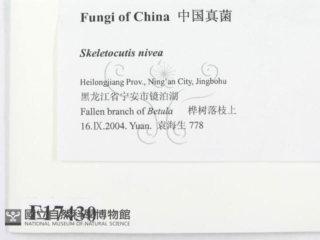 登錄號:F0017430藏品圖，第2張