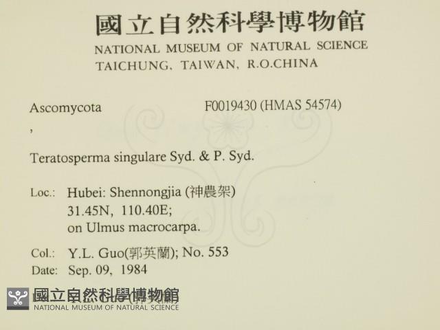 登錄號:F0019430藏品圖，第2張