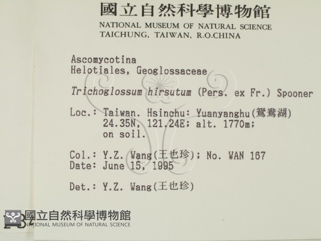 登錄號:F0003430藏品圖，第2張