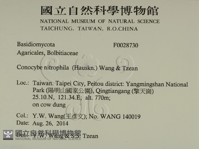 登錄號:F0028730藏品圖，第2張