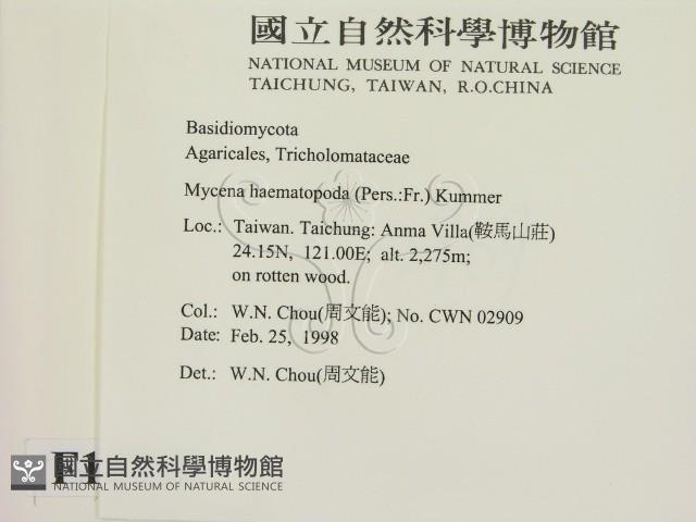 登錄號:F0010730藏品圖，第2張