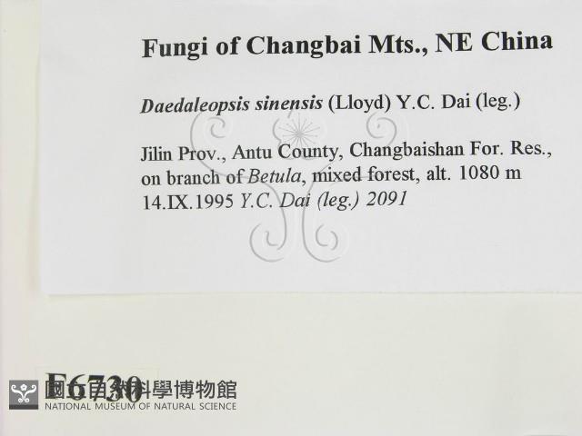 登錄號:F0006730藏品圖，第2張