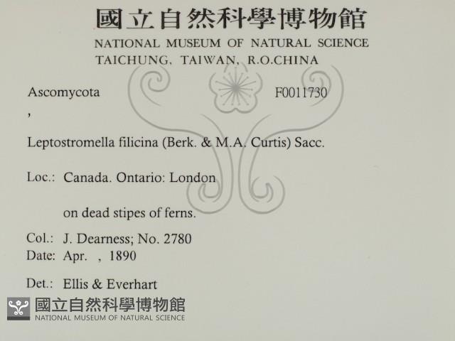 登錄號:F0011730藏品圖，第2張