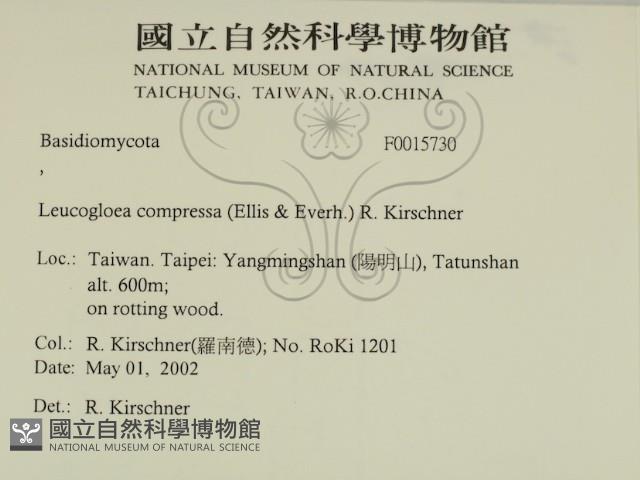 登錄號:F0015730藏品圖，第2張