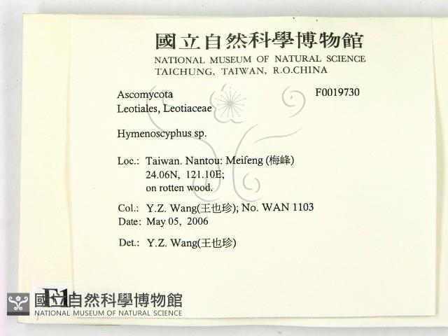 登錄號:F0019730藏品圖，第2張