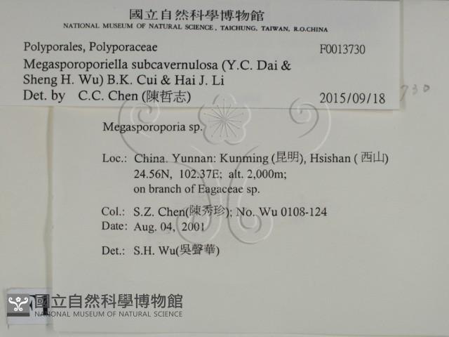 登錄號:F0013730藏品圖，第2張