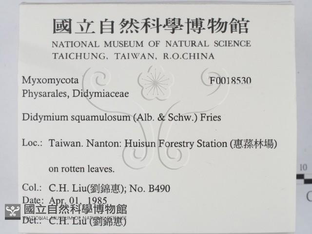 登錄號:F0018530藏品圖，第2張