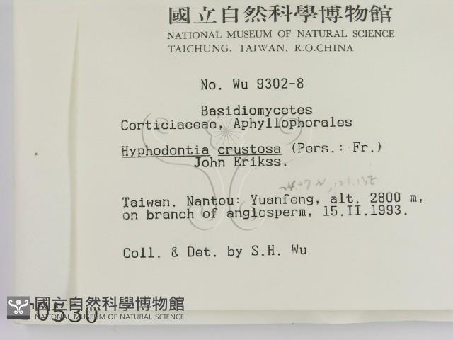 登錄號:F0000530藏品圖，第2張