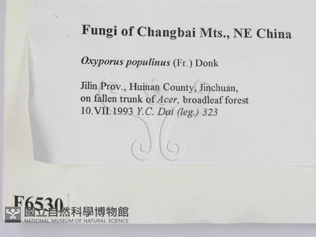 登錄號:F0006530藏品圖，第2張