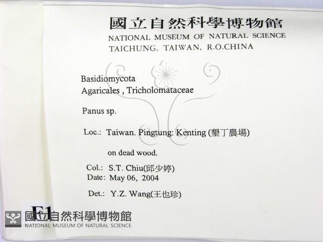 登錄號:F0016530藏品圖，第2張