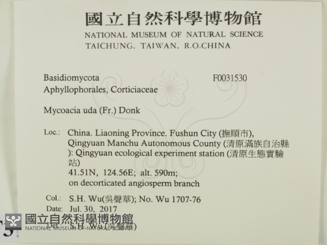 登錄號:F0031530藏品圖，第2張