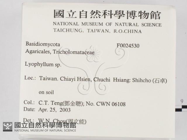 登錄號:F0024530藏品圖，第2張