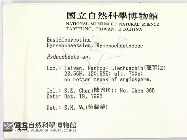 登錄號:F0004530藏品圖，第2張