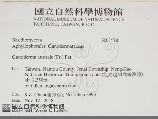 登錄號:F0034530藏品圖，第2張