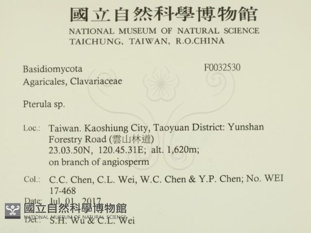 登錄號:F0032530藏品圖，第2張