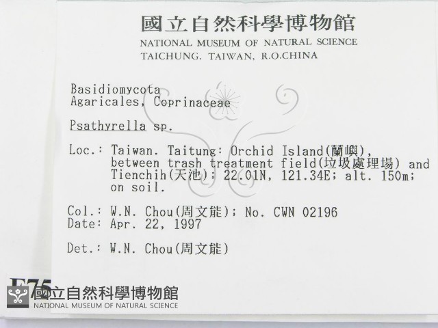 登錄號:F0007530藏品圖，第2張