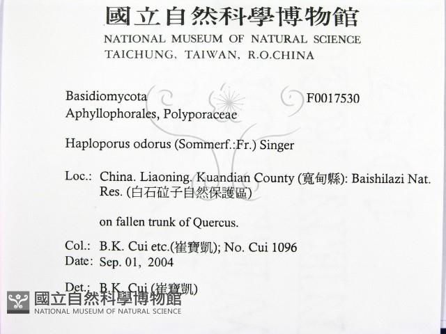 登錄號:F0017530藏品圖，第2張