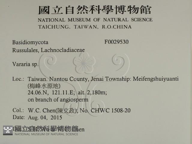 登錄號:F0029530藏品圖，第2張