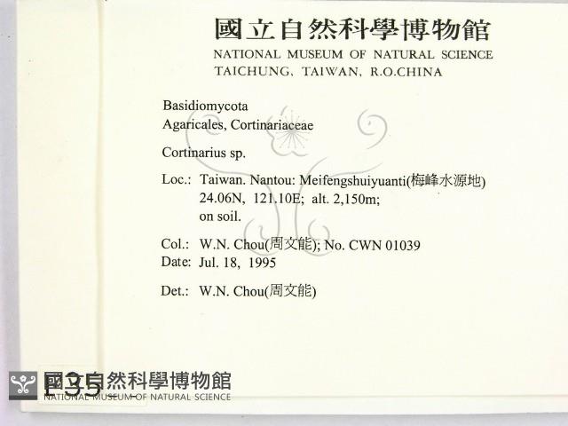 登錄號:F0003530藏品圖，第2張