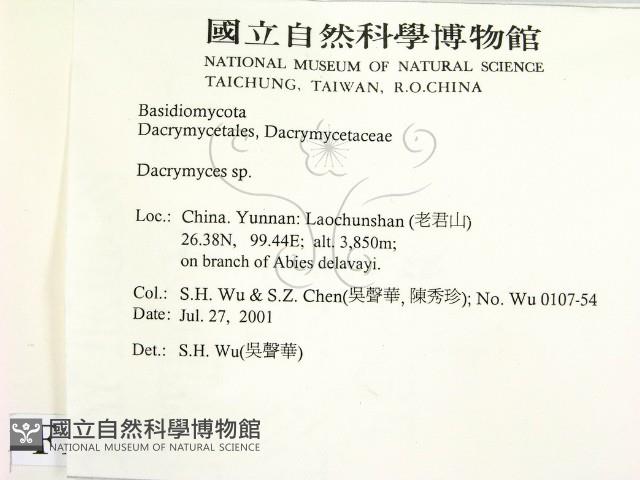 花耳屬藏品圖，第2張