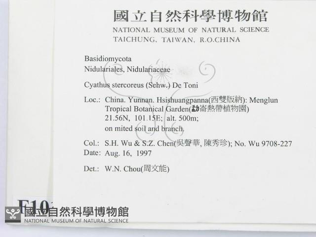 登錄號:F0010130藏品圖，第2張