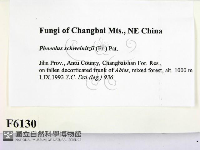 登錄號:F0006130藏品圖，第2張