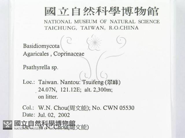 登錄號:F0016130藏品圖，第2張