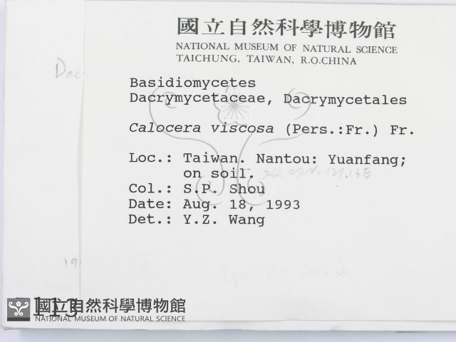登錄號:F0001130藏品圖，第2張
