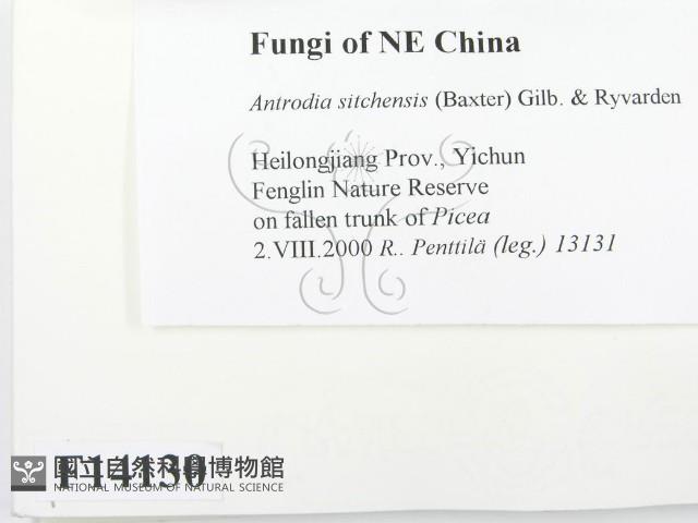 登錄號:F0014130藏品圖，第2張
