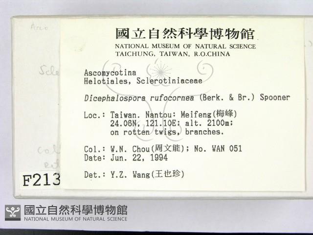 登錄號:F0002130藏品圖，第2張