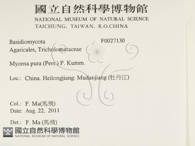 登錄號:F0027130藏品圖，第2張