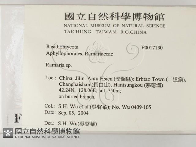 登錄號:F0017130藏品圖，第2張