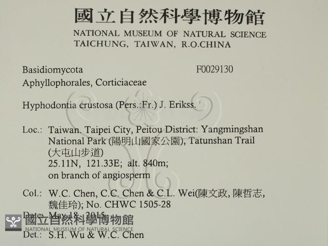 登錄號:F0029130藏品圖，第2張