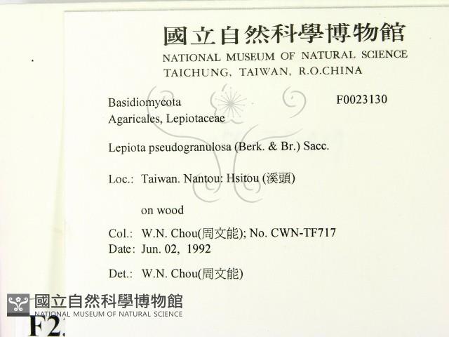 登錄號:F0023130藏品圖，第2張