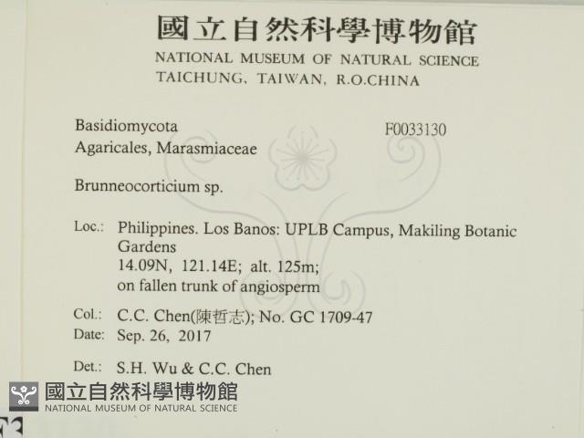 登錄號:F0033130藏品圖，第2張