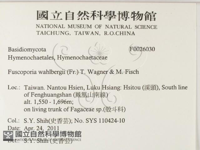 登錄號:F0026030藏品圖，第2張