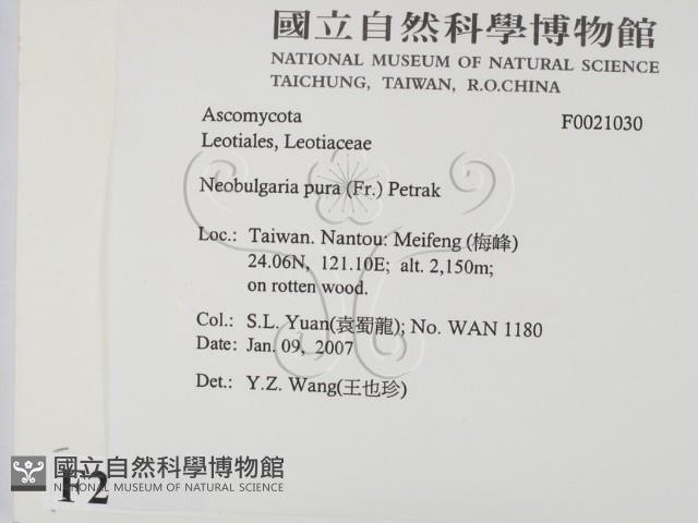 登錄號:F0021030藏品圖，第2張
