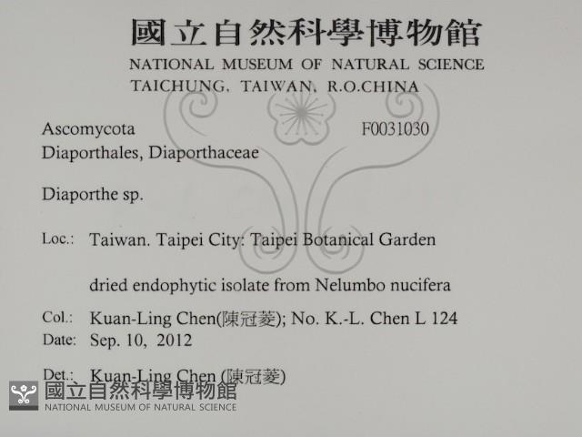登錄號:F0031030藏品圖，第2張