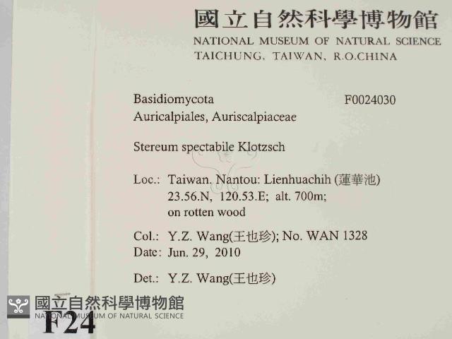 登錄號:F0024030藏品圖，第2張